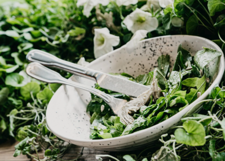 20 Flowers You Can Eat Whole People