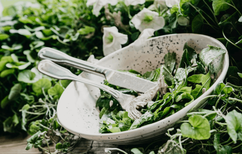 20 Flowers You Can Eat Whole People