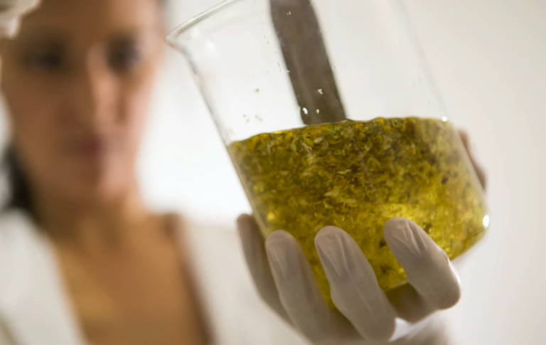 natural cosmetic formulations